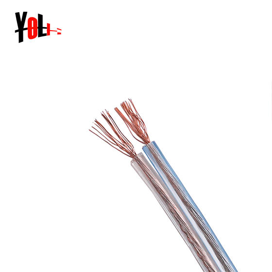What are the characteristics of speaker cables for home and car audio?